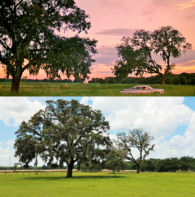 where in polk county was jeepers creepers movie filmed where in polk county was jeepers creepers movie filmed