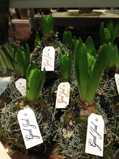 Jenny Strandh Every day flowers