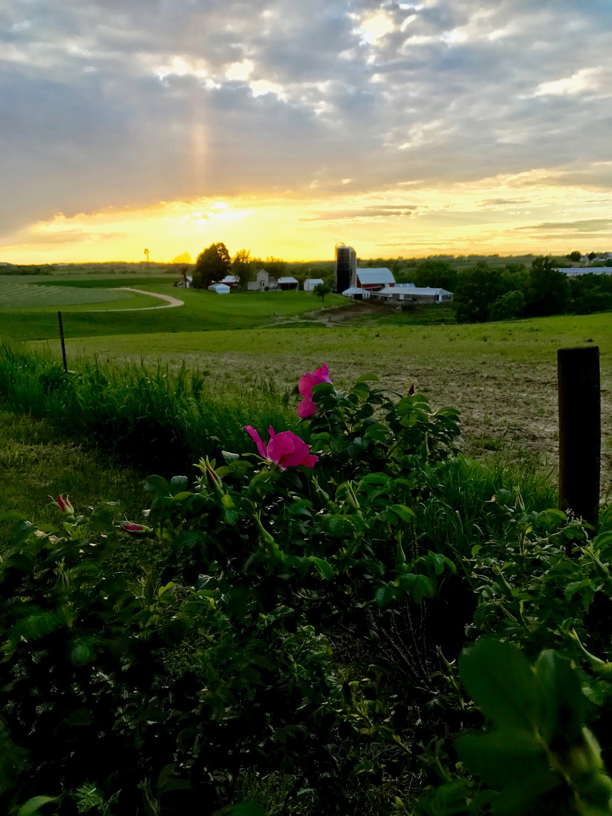 The Brazil's Adventures 2017.06.01Kieler, WI