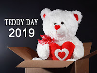teddy day images, happy teddy day 2019, cute white teddy into gift box
