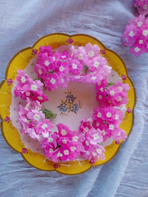 Flor de la verbena en un plato decorado de cartón