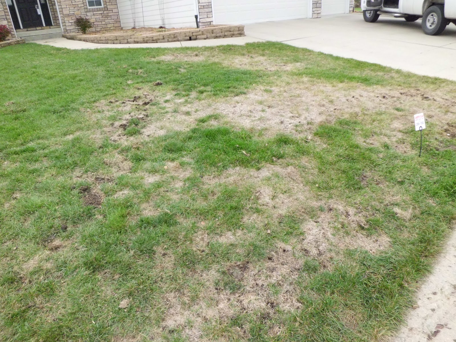 iaTURF: GRUB DAMAGE IN URBANDALE IN LATE OCTOBER