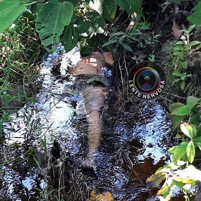 Policiais salvam homem embriagado que estava desacordado e se afogando em riacho