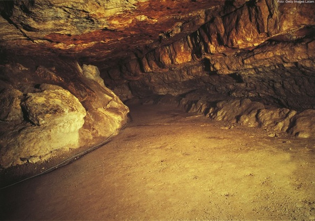 Cueva de Altamira | Monumentos y Patrimonio de España