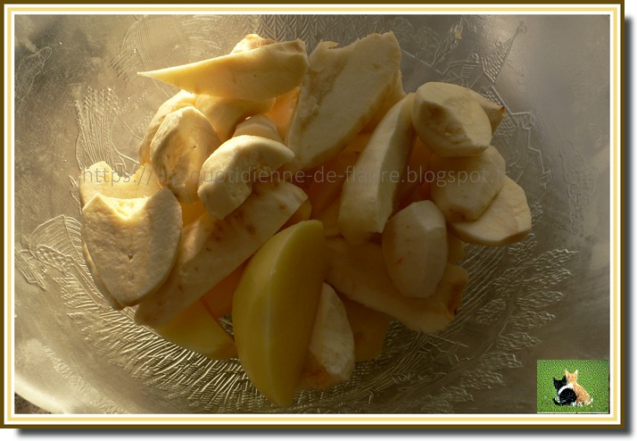 Palette de porc confite aux épices, entourée de légumes