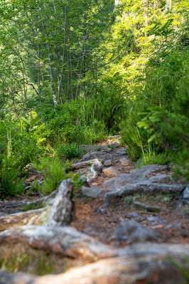 Premiumwanderweg Murgleiter | Etappe 4 von Schönmünzach nach Baiersbronn | Wandern nördlicher Schwarzwald 09