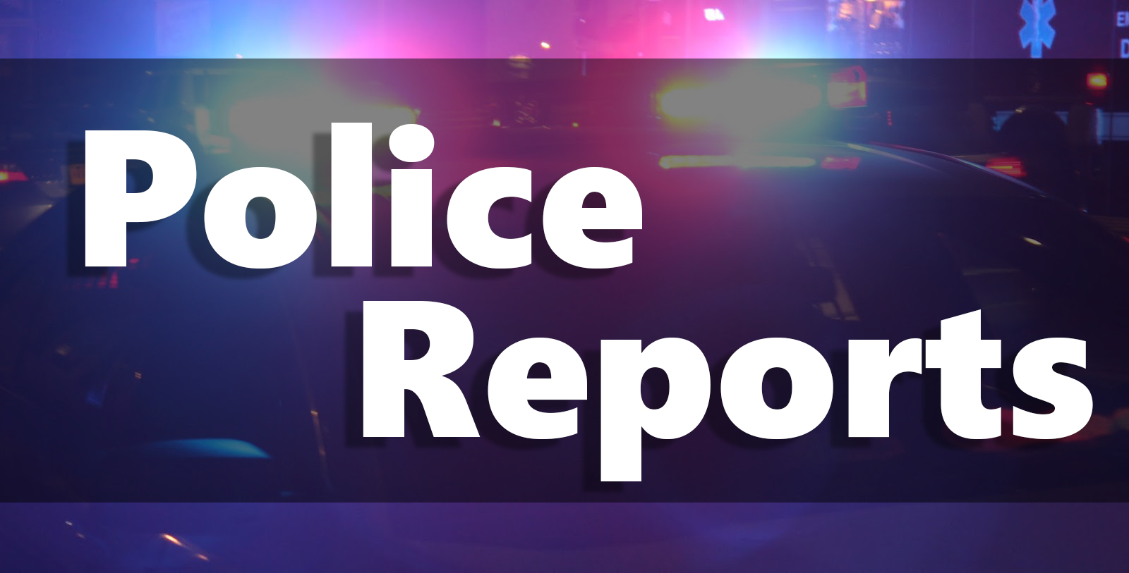 daily news police report