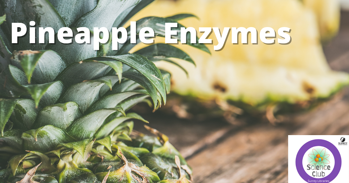 Surrey Library Lab Pineapple Enzymes