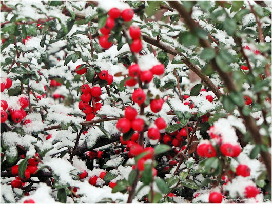 Podsumowanie miesiąca: styczeń