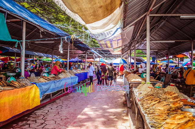 Warna Warni Tamu Kota Belud Daily Experience