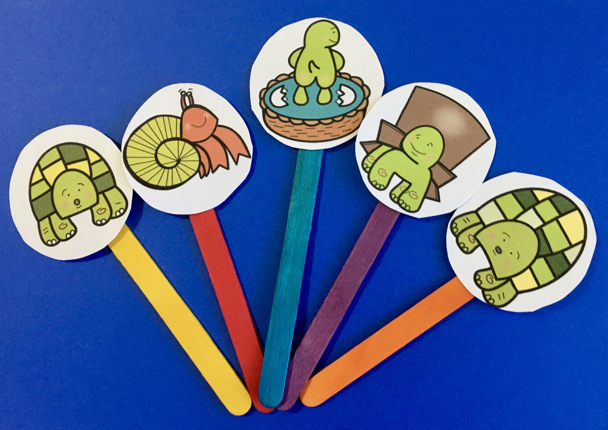 THE BOX TURTLE BOOK CRAFT & 5 PUPPET STICKS Book Units by Lynn