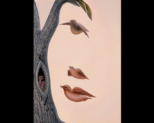 Desarrollo del Pensamiento: ILUSIONES OPTICAS