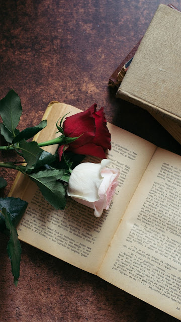 Flowers and books Aesthetic wallpaper