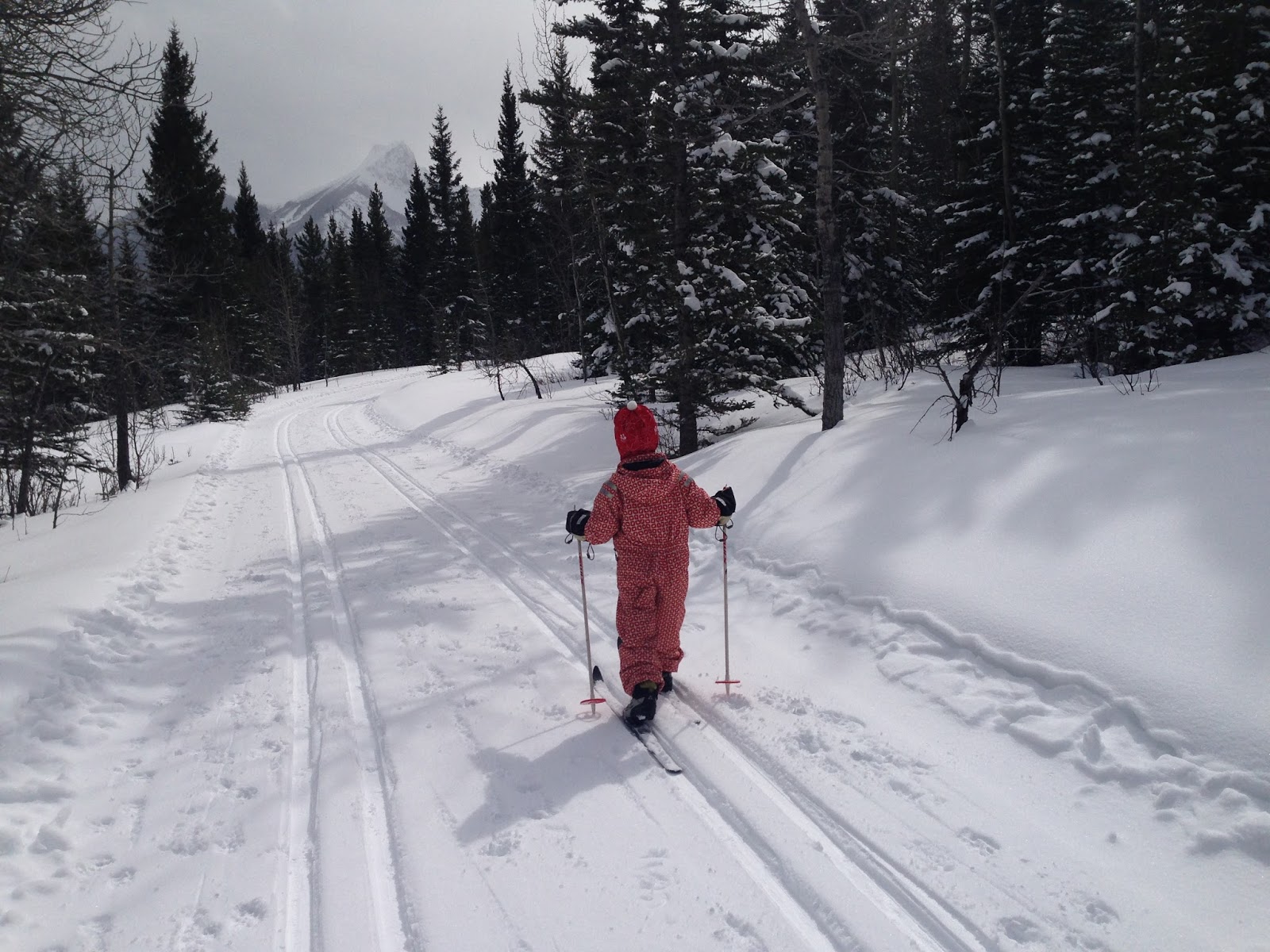 Family Adventures in the Canadian Rockies Family Cross Country Ski
