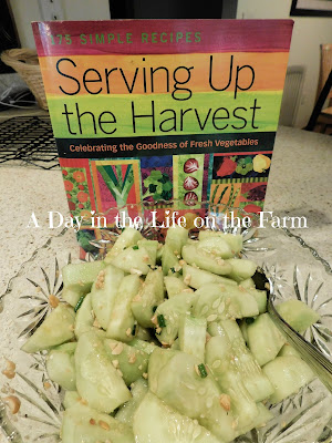 Cucumber Cashew Salad and cookbook