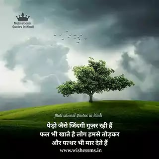 truth of life quotes in hindi, bitter truth of life quotes in hindi, truth of life quotes in hindi font, truth life quotes in hindi, life truth status in hindi, truth quotes about life in hindi, truth of life status in hindi, reality of life in hindi quotes, truth of life quotes in hindi hd, harsh reality of life quotes in hindi, truth about life quotes in hindi, truth quotes of life in hindi, truth life status in hindi, real truth of life quotes in hindi, reality of life hindi quotes