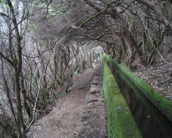 MADEIRA