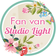 FAN STUDIO LIGHT