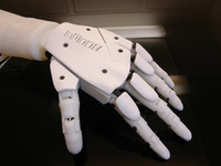 InMoov: Makerfaire Roma and Rennes