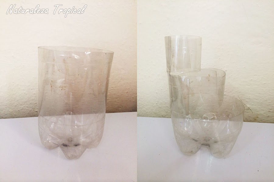 Botella plástica antes y después de recortar para el mini-jardín de suculentas