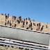  Afgan mülteciler akın akın Türkiye’ye gelmeye devam ediyor.