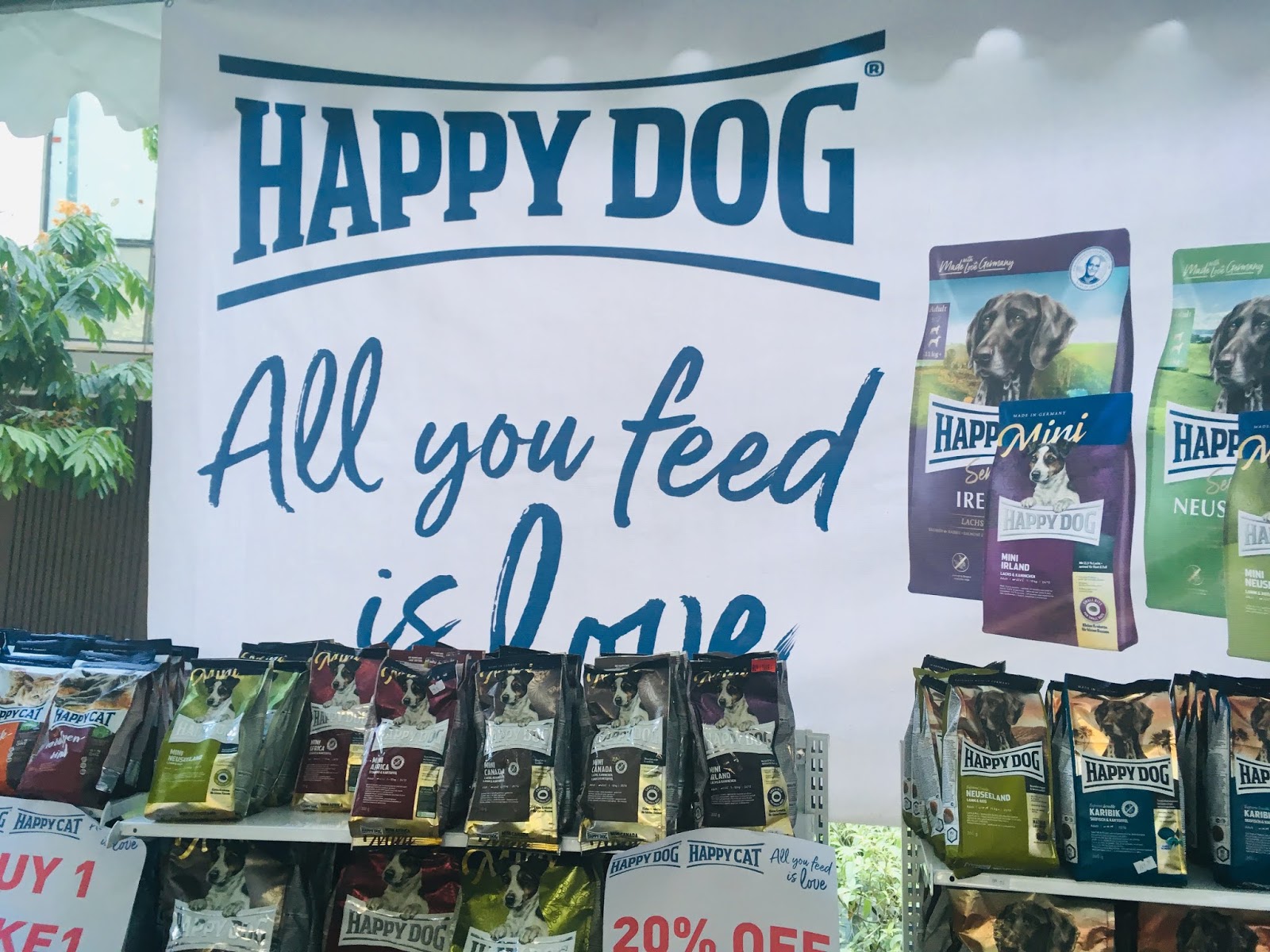 mini africa happy dog