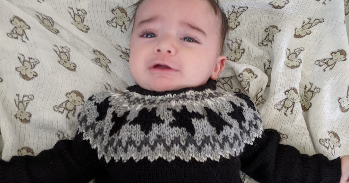 Yarn Lab Knitting a baby sized Schitt's Creek David Rose Sweater