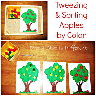 Tweezing and Sorting Apples by Color