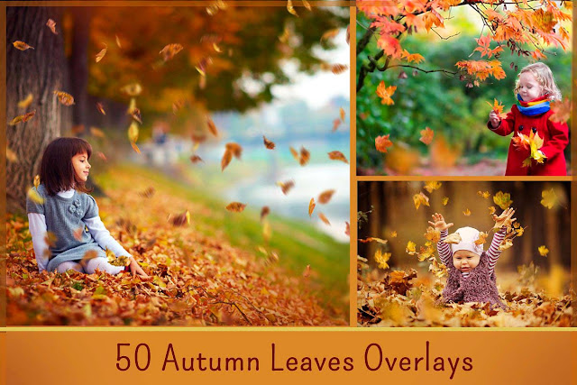 50 Autumn Leaves Overlays