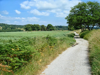 Medieval News Molana Abbey in County Waterford, Ireland