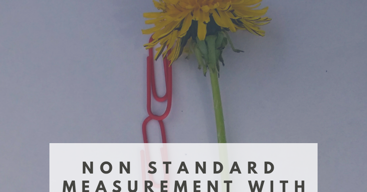 Learning About Measurement with Flowers (A Preschool Math Activity)