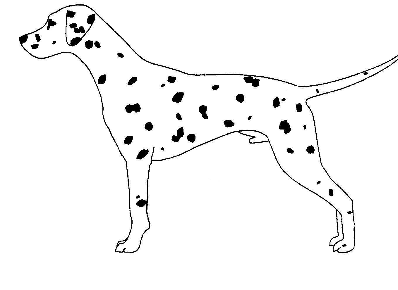dalmatian firehouse dog coloring pages - photo #11