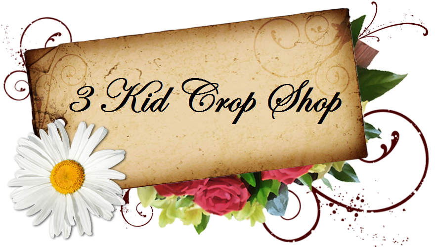                         3 Kid Crop Shop           