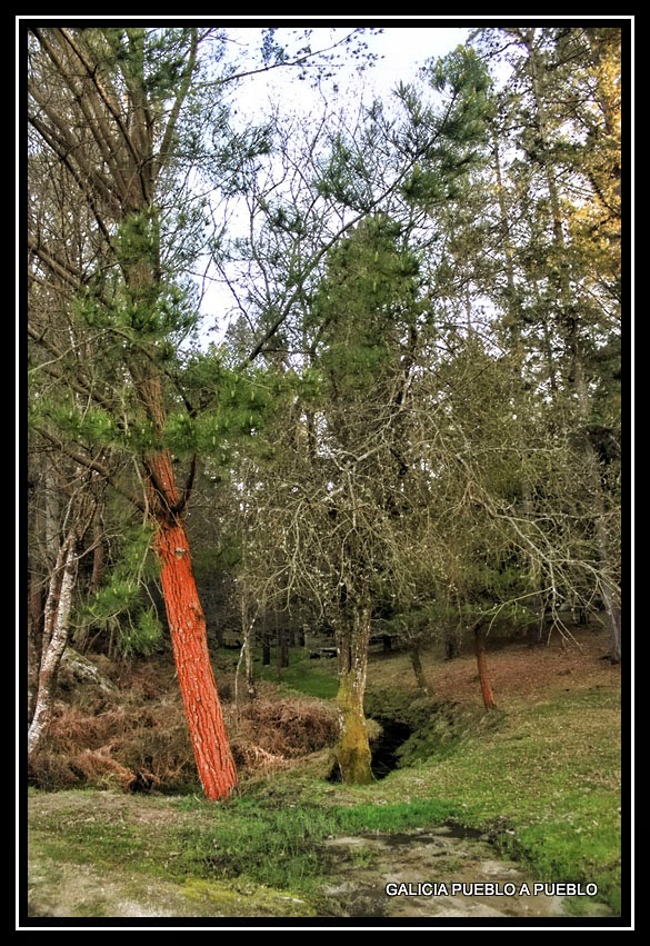 GALICIA PUEBLO A PUEBLO ÁREA RECREATIVA DE MIRAZ, FRIOL