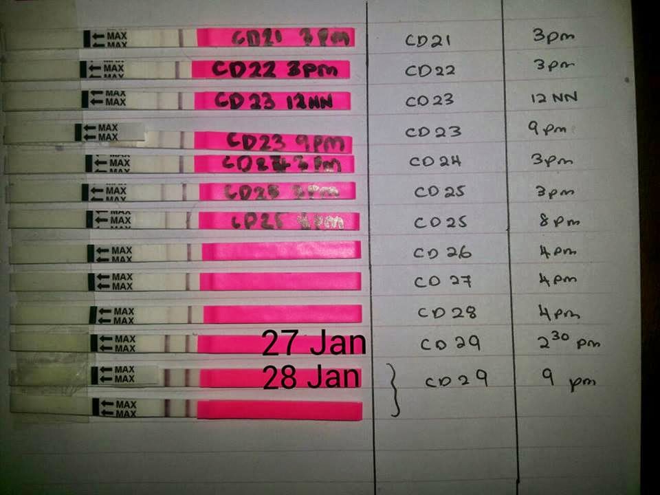 POSITIVE OVULATION TEST GALLERY (OPK) Ovulation test kit (opk