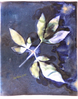 Wet cyanotype -Sue Reno_Image 674