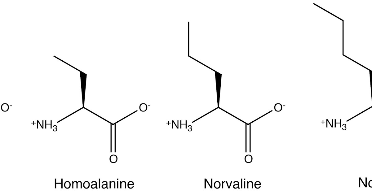 Unnatural amino acid biosynthesis