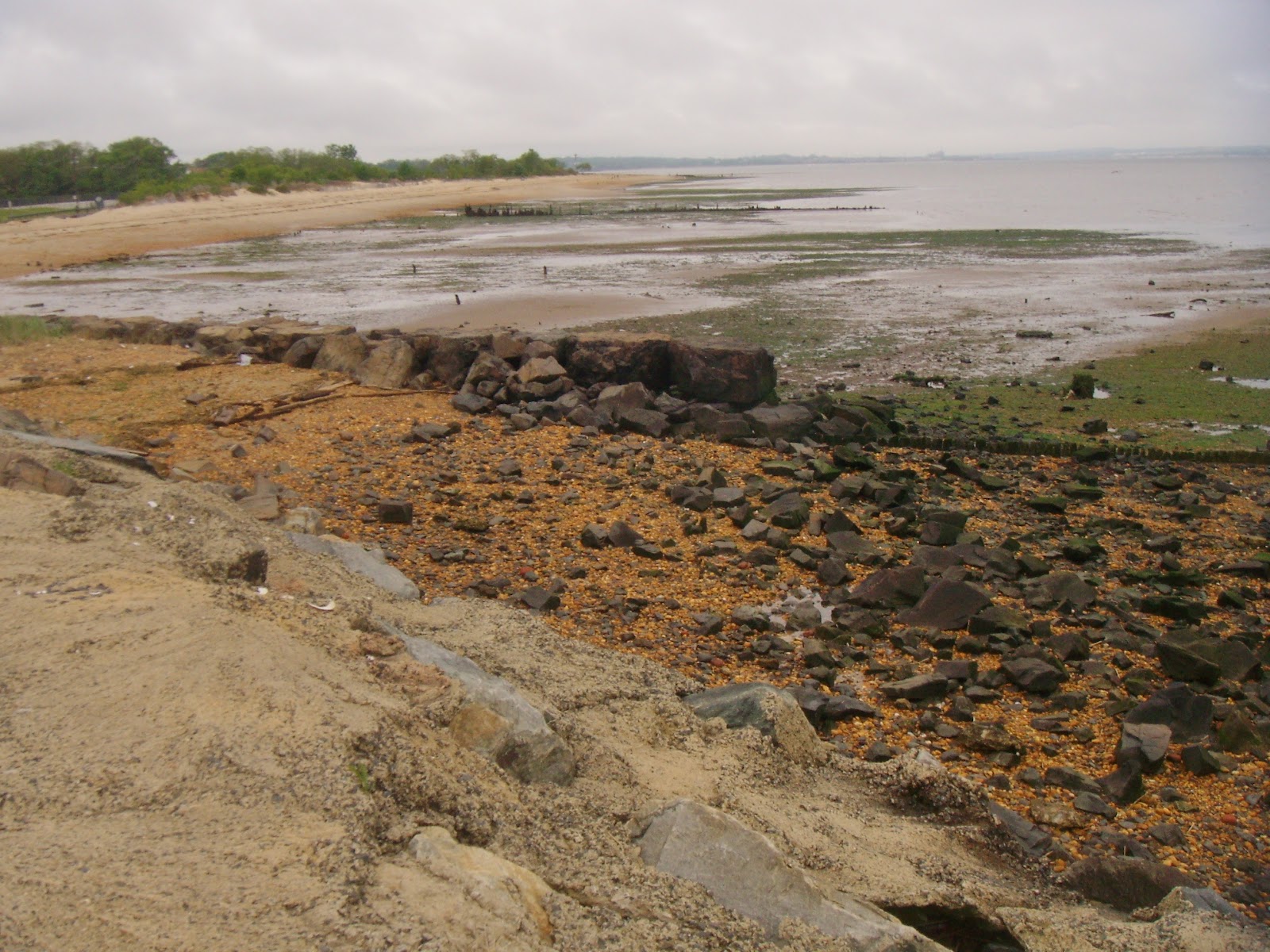 Aberdeen NJ Life Low Tide at Cliffwood Beach, May 2012