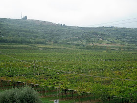 Michele Castellani Amarone winery