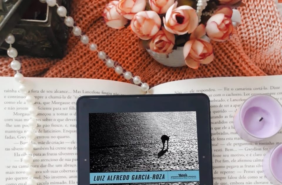 O silêncio da Chuva Luiz Alfredo GarciaRosa Eu Pratico Livroterapia