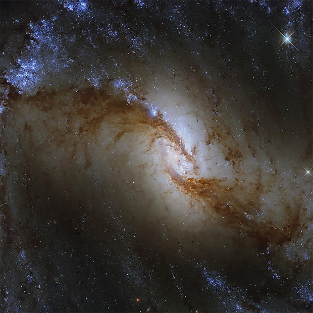 Barred Spiral Galaxy NGC 1365