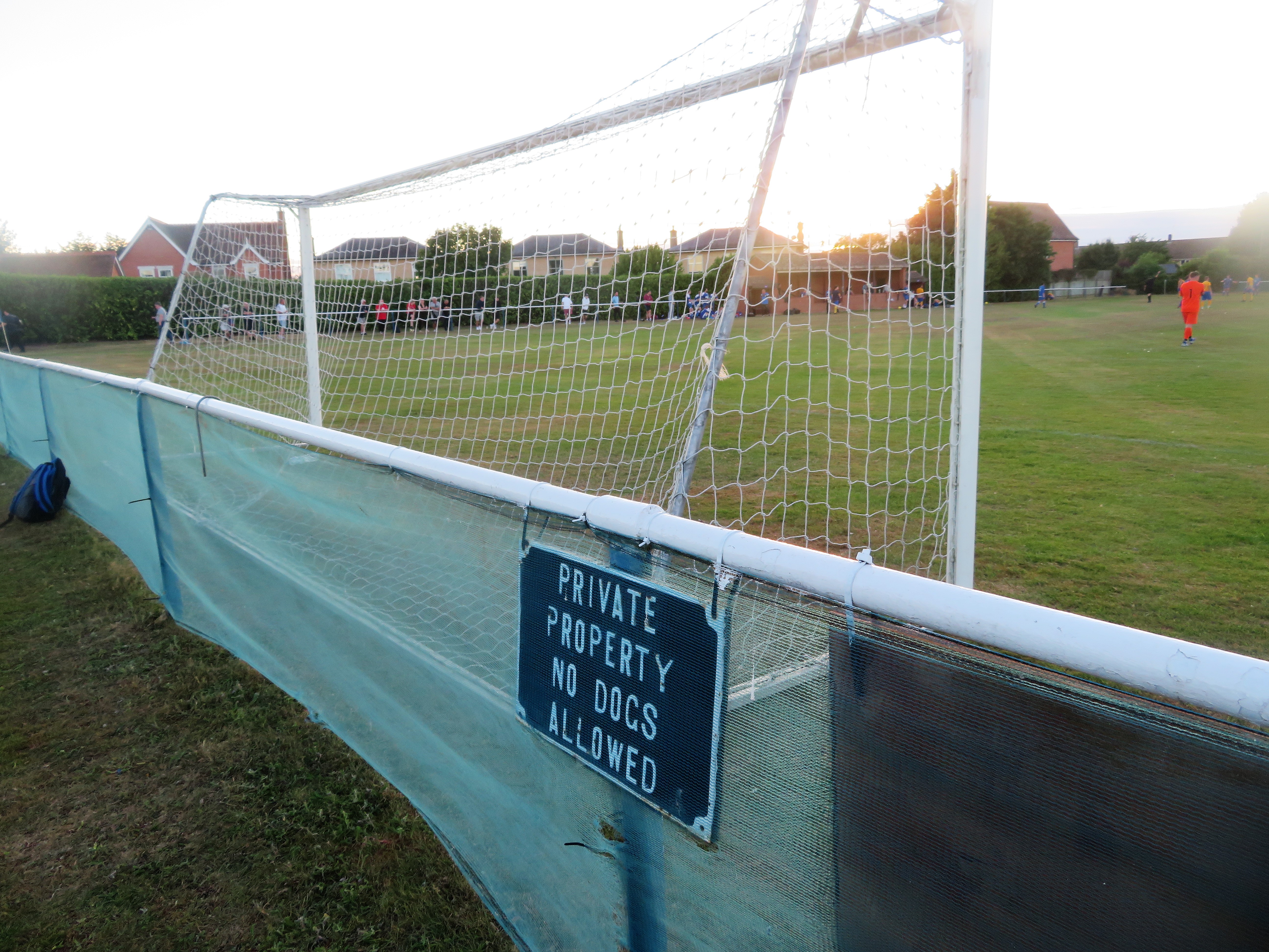 The Wanderer Earls Colne Green Farm Meadow