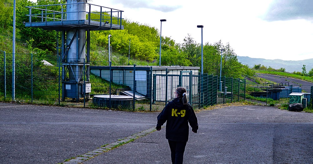 Hundeblog Genki Bulldog Am Kollerseehundeblog Genki Bulldog Abenteuer Einer Franzosischen Bulldogge