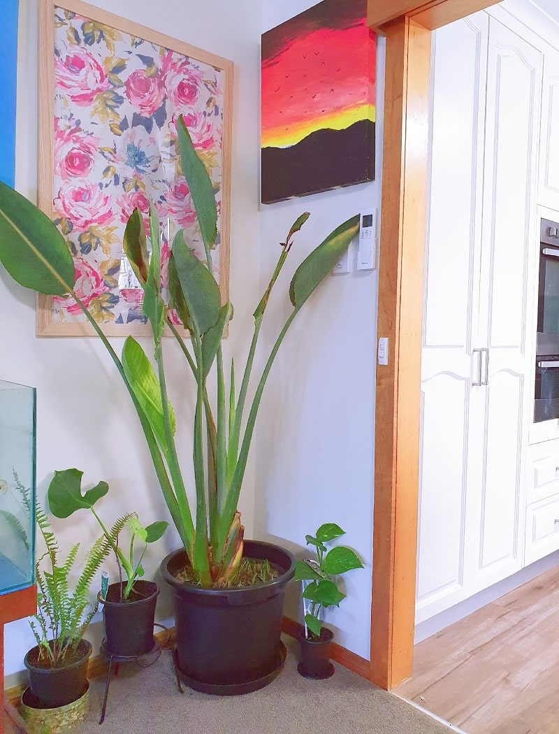 How To Make DIY Wall Art on a Budget (In Any Prints!) For Urban Women