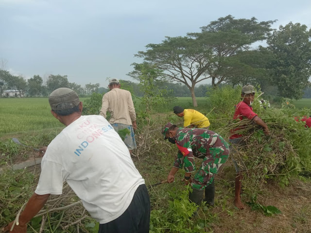 Bersihkan Akses Jalan Pertanian Babinsa Cawas Bersama Warga adakan Kerja Bakti      