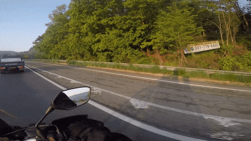 DSC_3489.gif