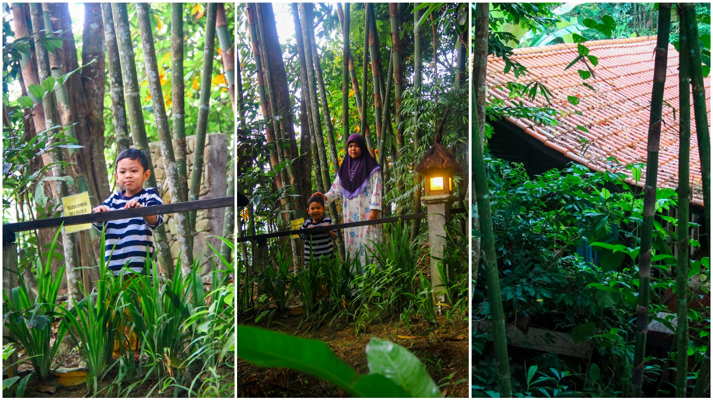 Satu Malam Di Danau Daun Chalet, Janda Baik