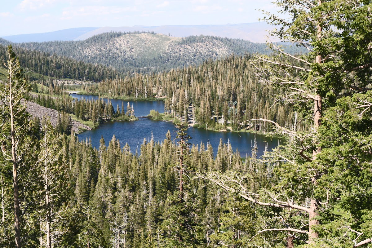 thetimeisgrey: mammoth