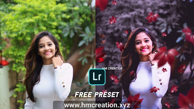 Download free Moody portrait - Lightroom Mobile presets and png