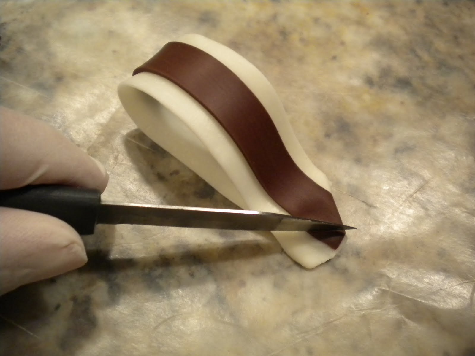 Step by Step Gourmet: Spiced Chocolate Torte Wrapped in Chocolate Ribbons